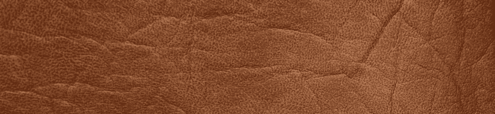 New Star (Polipiel)