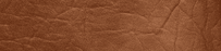 New Star (Polipiel)