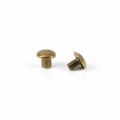 Gemelo 0003 Remache Roscado (Chicago screw)