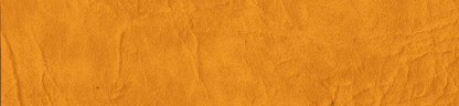 New Star (Polipiel)