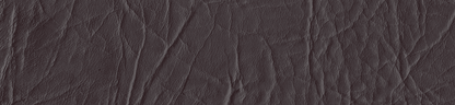 New Star (Polipiel)